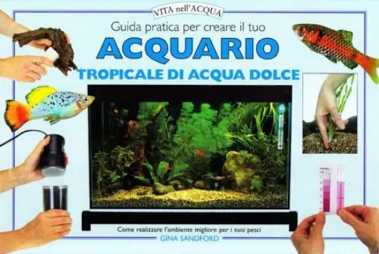 ACQUARIO TROPICALE DI ACQUA DOLCE