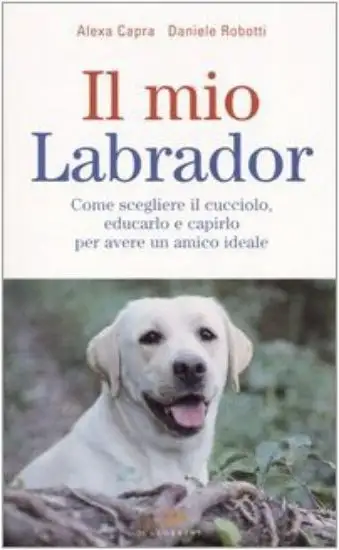 MIO LABRADOR