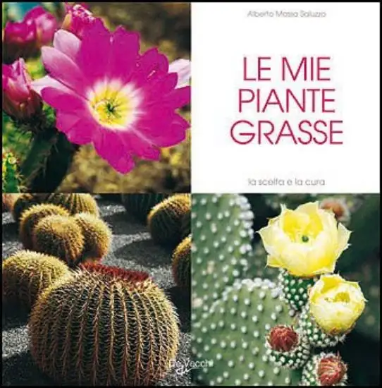 MIE PIANTE GRASSE