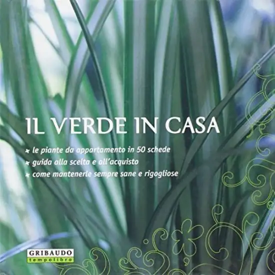 VERDE IN CASA