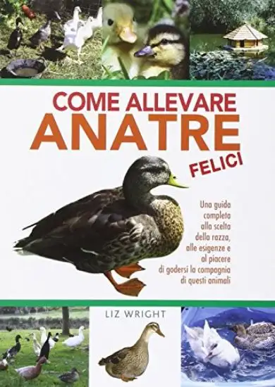 COME ALLEVARE ANATRE FELICI