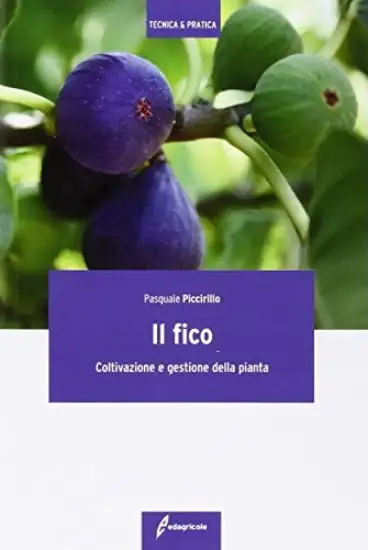 FICO (IL). COLTIVAZIONE E GESTIONE DELLA PIANTA