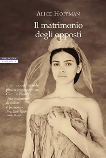 MATRIMONIO DEGLI OPPOSTI (IL)