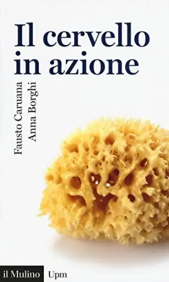 CERVELLO IN AZIONE (IL)