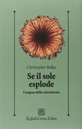 SE IL SOLE ESPLODE. L`ENIGMA DELLA SCHIZOFRENIA