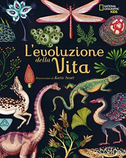 EVOLUZIONE DELLA VITA (L`)