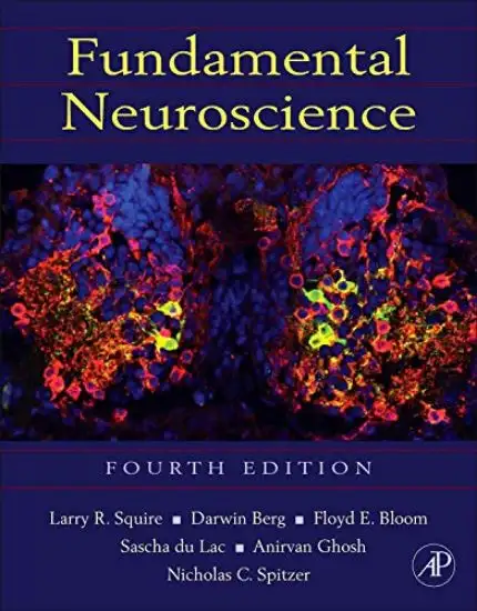 FUNDAMENTAL NEUROSCIENCE (INGLESE)