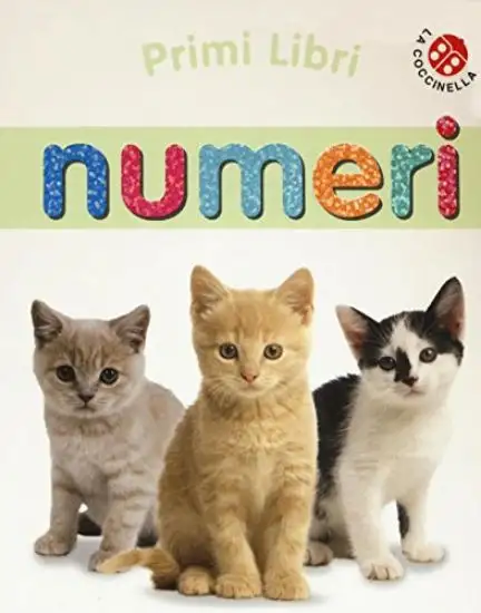 NUMERI. EDIZ. ILLUSTRATA