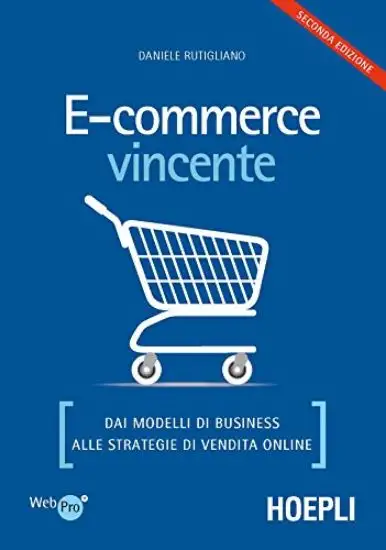 E-COMMERCE VINCENTE. DAI MODELLI DI BUSINESS ALLE STRATEGIE DI VENDITA ONLINE