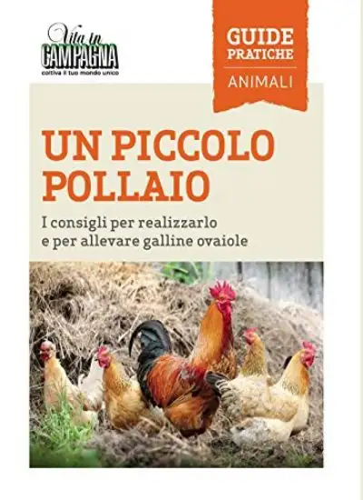 UN PICCOLO POLLAIO. I CONSIGLI PER RALIZZARLO E PER ALLEVARE GALLINE OVAIOLE