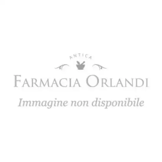 PRINCIPESSA AMELIA E IL SUO CRICETO (LA)