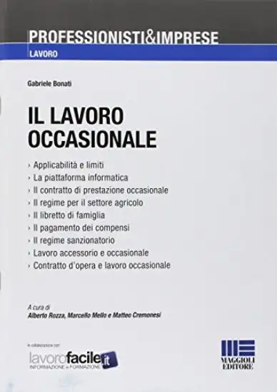 LAVORO OCCASIONALE (IL)