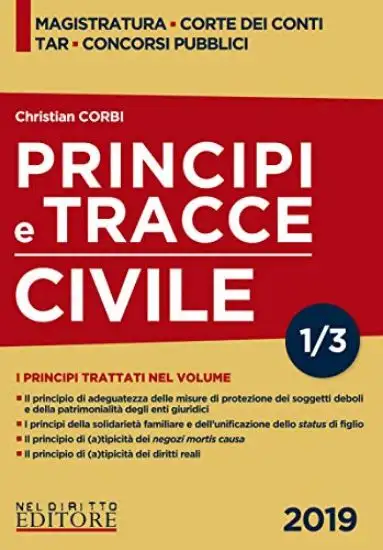 PRINCIPI E TRACCE. CIVILE 2019 - VOLUME 3/1