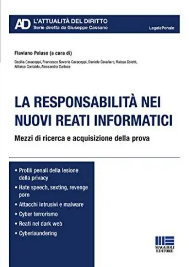 RESPONSABILITA` NEI NUOVI REATI INFORMATICI (LA)