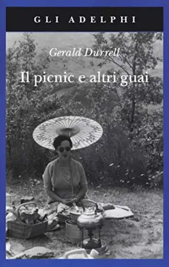 PICNIC E ALTRI GUAI (IL)