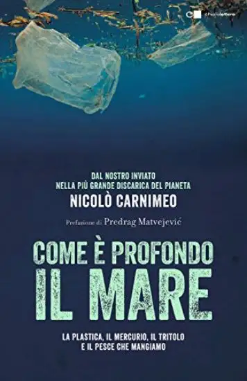 COME E` PROFONDO IL MARE. LA PLASTICA, IL MERCURIO, IL TRITOLO E IL PESCE CHE MANGIAMO