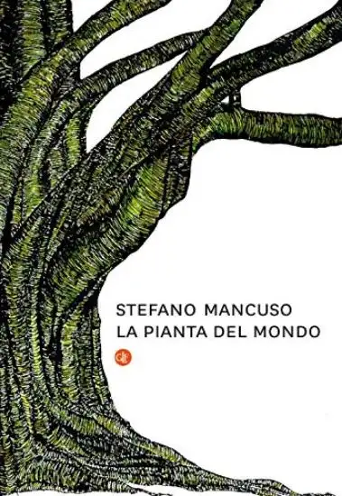 PIANTA DEL MONDO (LA)
