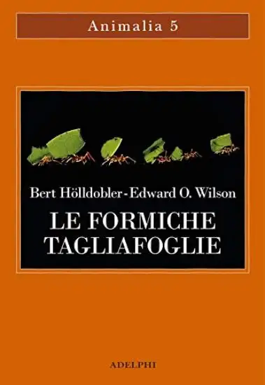 FORMICHE TAGLIAFOGLIE (LE)