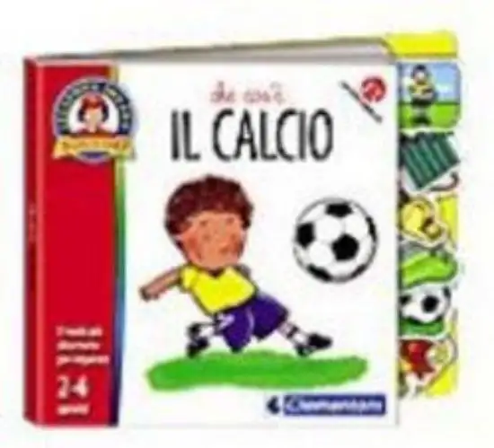 CHE COS`E` IL CALCIO
