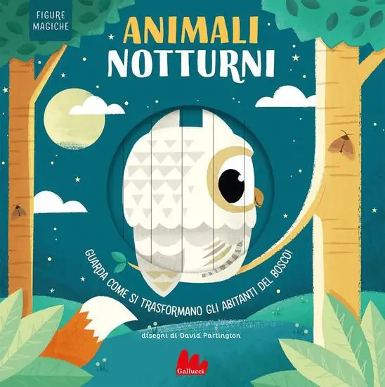 ANIMALI NOTTURNI. FIGURE MAGICHE. EDIZ. A COLORI
