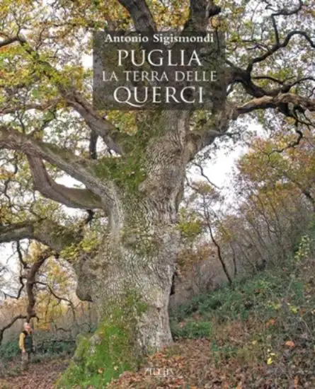 PUGLIA. LA TERRA DELLE QUERCI. I BOSCHI DI PUGLIA: DESCRIZIONE, STORIA, VALORE, PROBLEMI DI CONS...