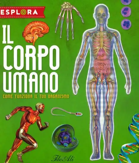 CORPO UMANO. COME FUNZIONA IL TUO ORGANISMO. ESPLORA. EDIZ. A SPIRALE. CON ADESIVI. CON POSTER (IL)
