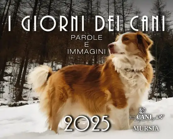 GIORNI DEI CANI. CALENDARIO 2025 (I)