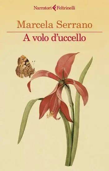 A VOLO D`UCCELLO