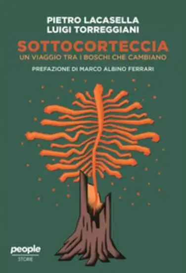 SOTTOCORTECCIA. UN VIAGGIO TRA I BOSCHI CHE CAMBIANO