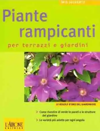 Le piante rampicanti per terrazzi e giardini