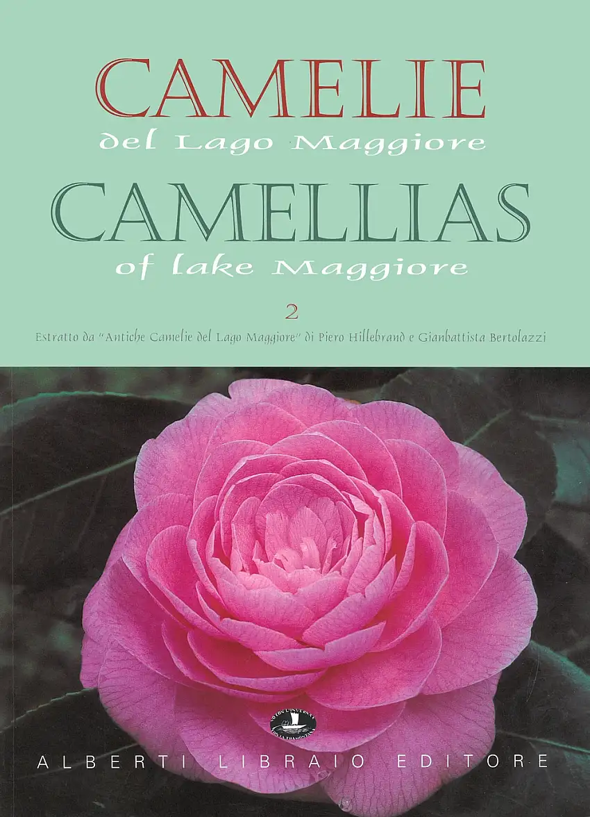 Camelie del Lago Maggiore. Estratto da «Antiche camelie». Vol. 2