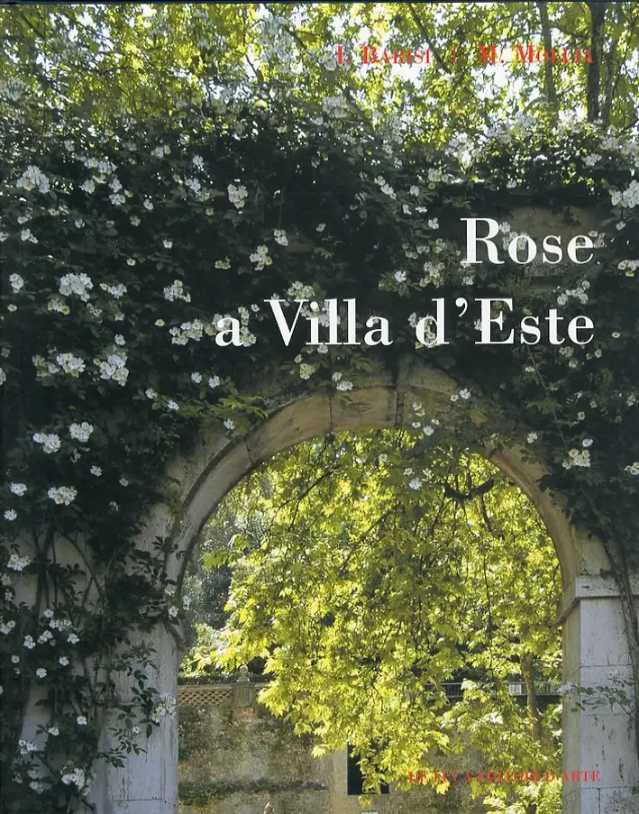 Rose a Villa d'Este