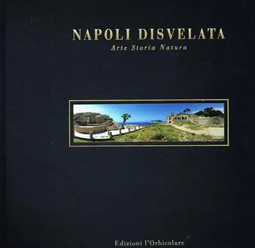 Napoli disvelata. Arte, storia, natura. [Edizione Italiana e Inglese]