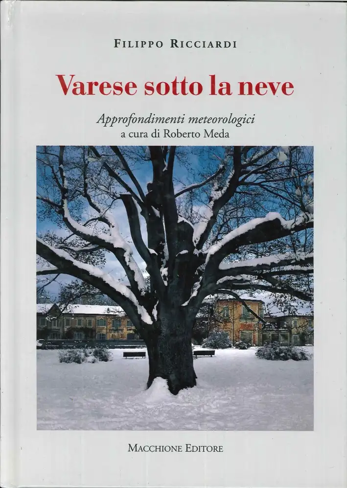 Varese sotto la neve