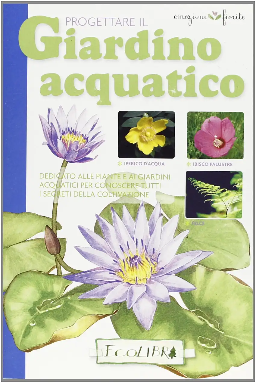 Progettare il giardino acquatico