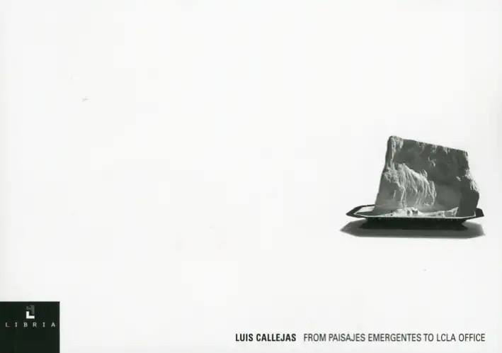 Luis Callejas. From Paisajes Emergentes To Lcla Office