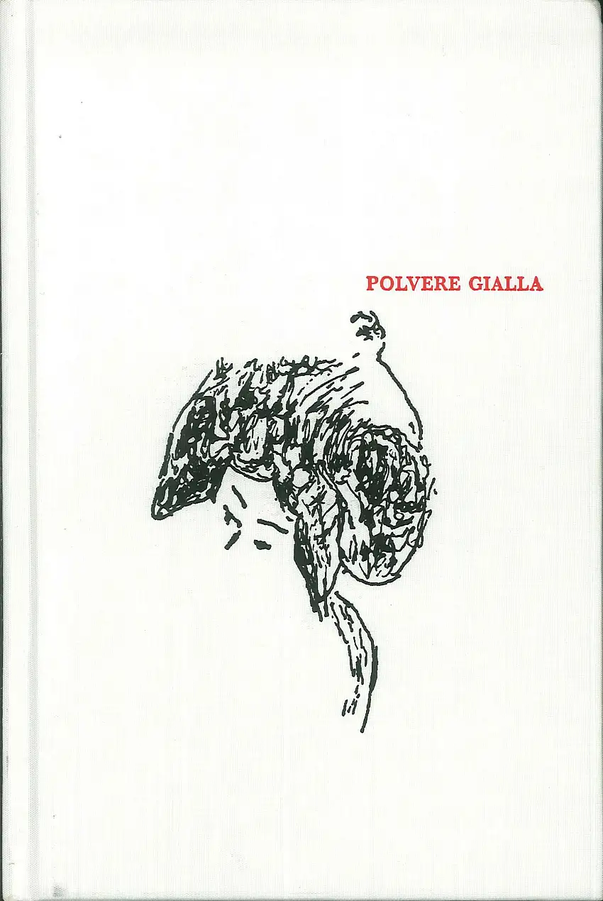 Polvere gialla. La collezione di Lucia e Silvio Arcelloni