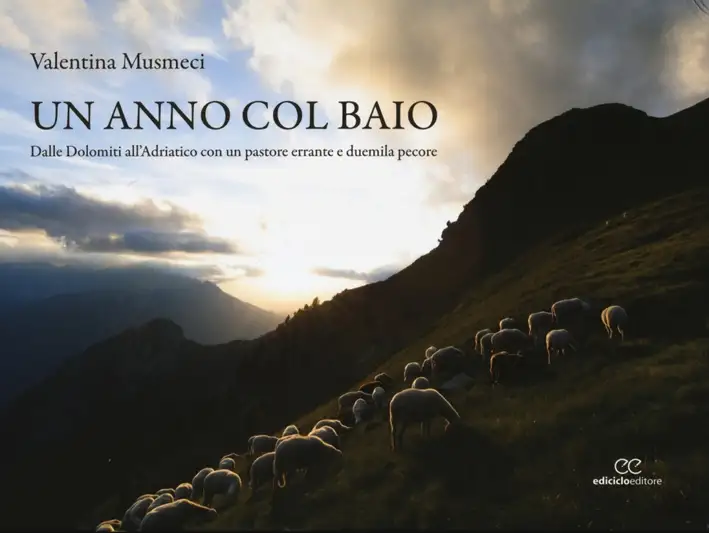 Un anno col baio. Dalle Dolomiti all'Adriatico con un pastore errante e duemila pecore