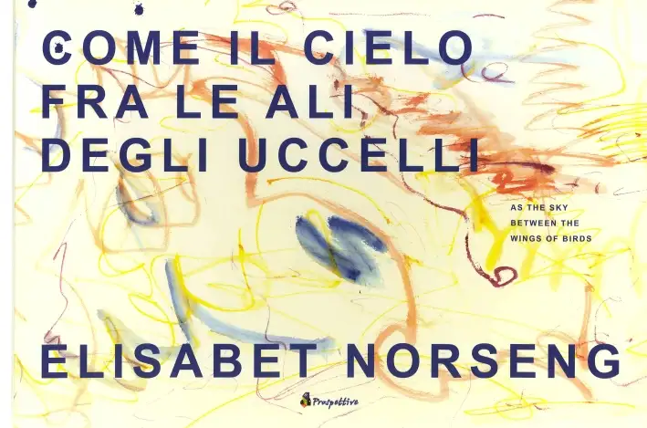 Come il Cielo fra le Ali degli Uccelli. As the Sky Between the Wings of Birds