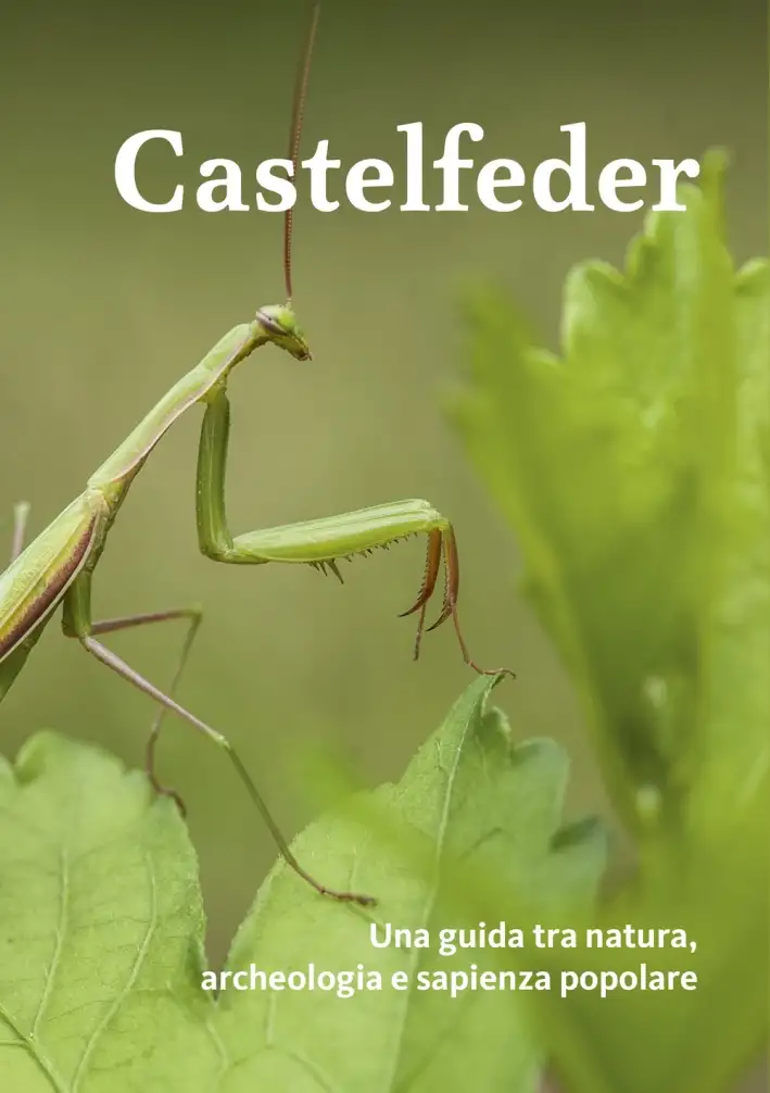 Castelfeder. Una Guida tra Natura, Archeologia e Sapienza Popolare