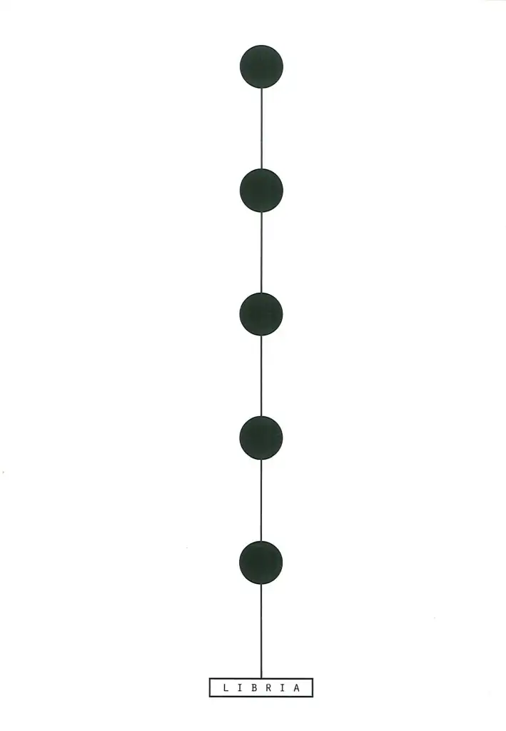 5 punti di vista. Tra forma del segno e disegno della forma