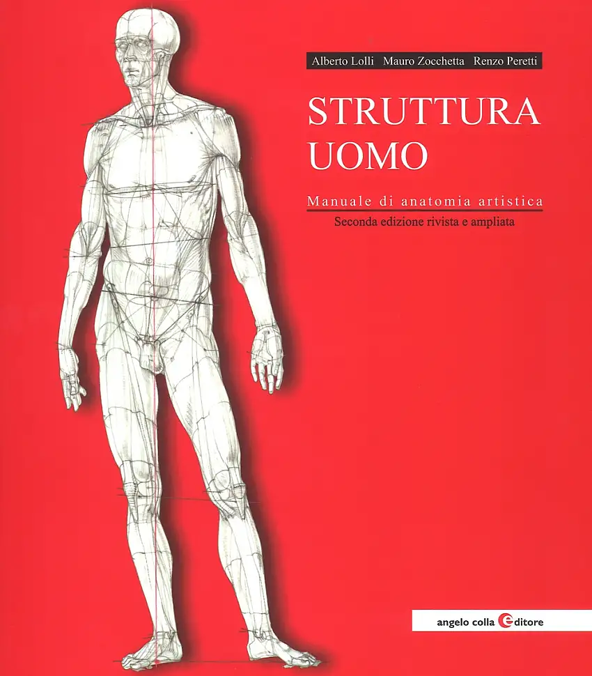 Struttura uomo. Manuale di anatomia artistica. Nuova ediz