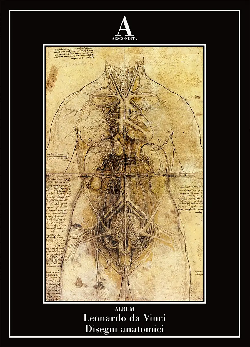 Disegni anatomici.