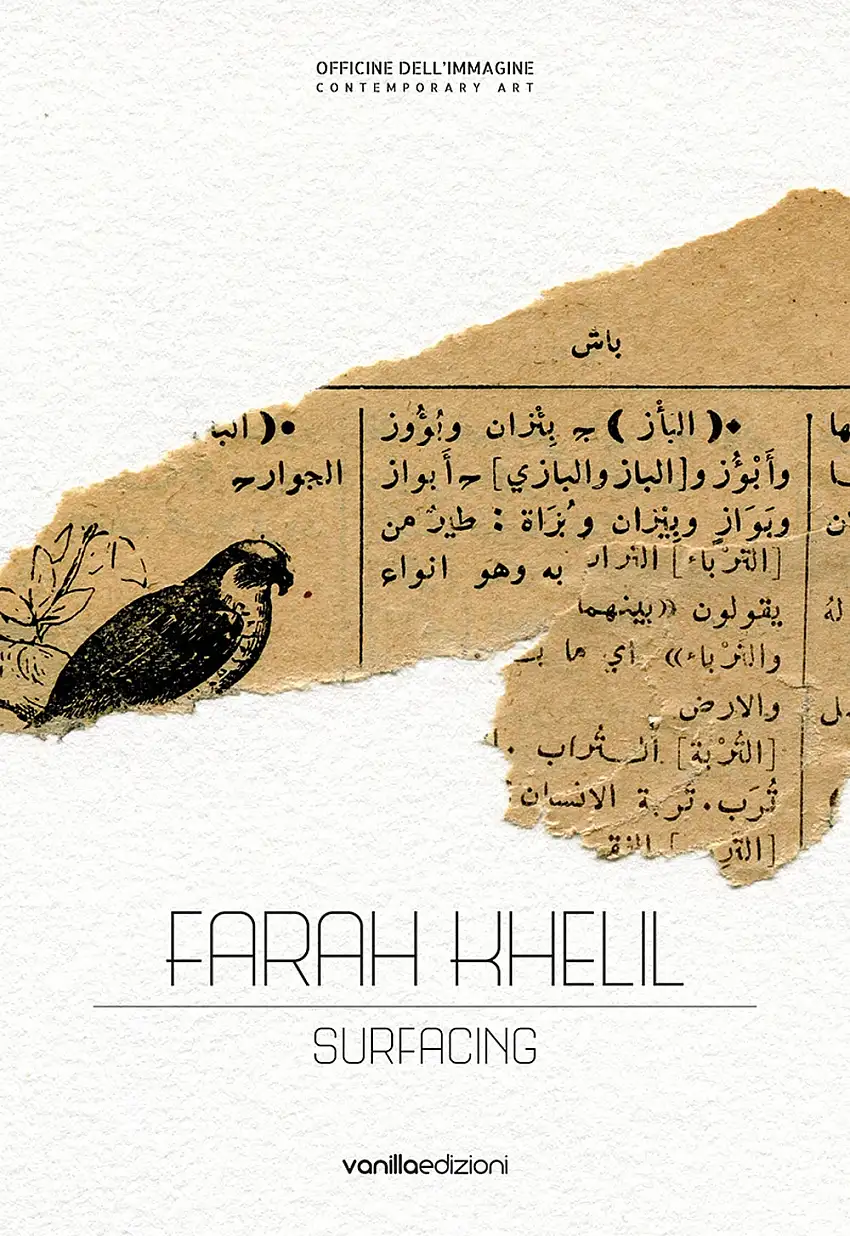 Farah Khelil. Surfacing