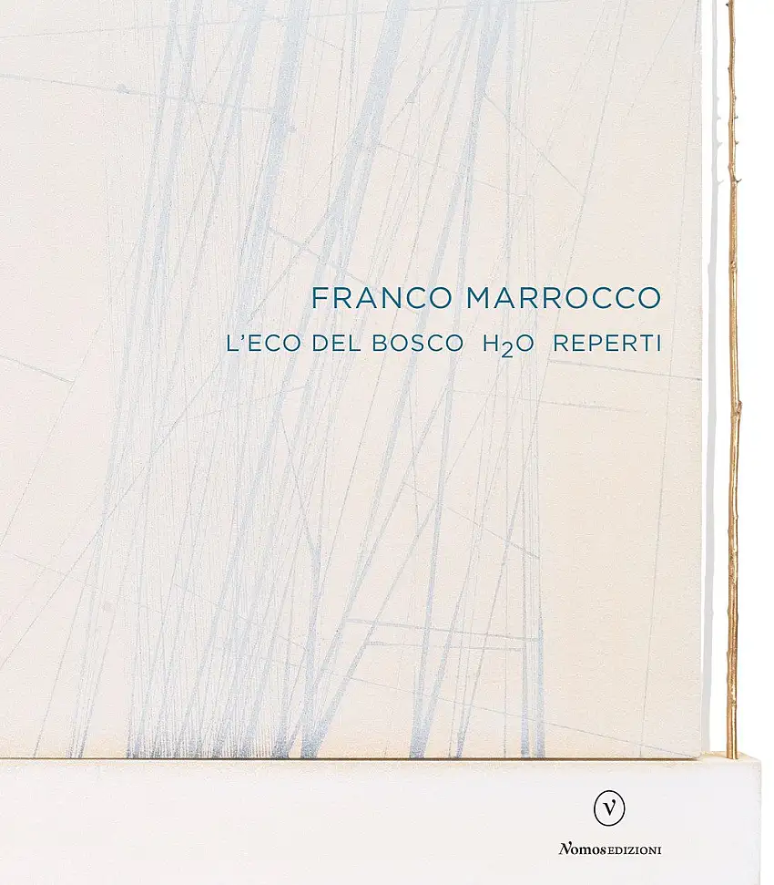 Franco Marrocco. L'eco del Bosco H2O Reperti.