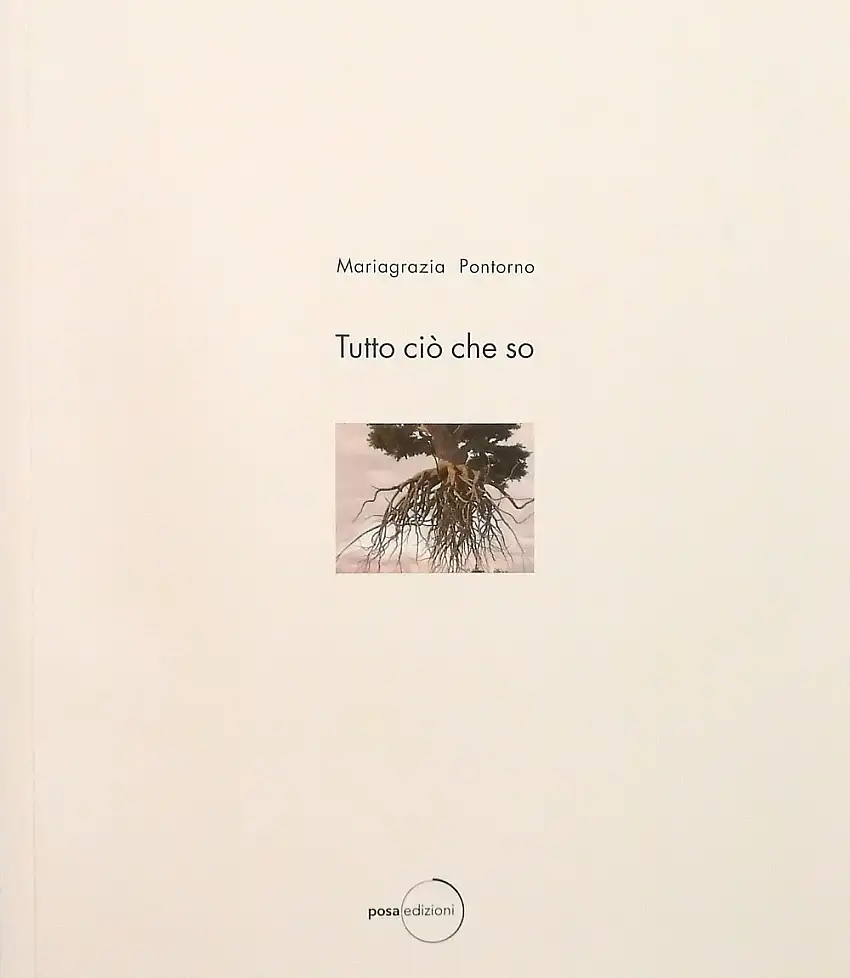 Tutto ciò che so (25 ottobre 2014-27 febbraio 2015)
