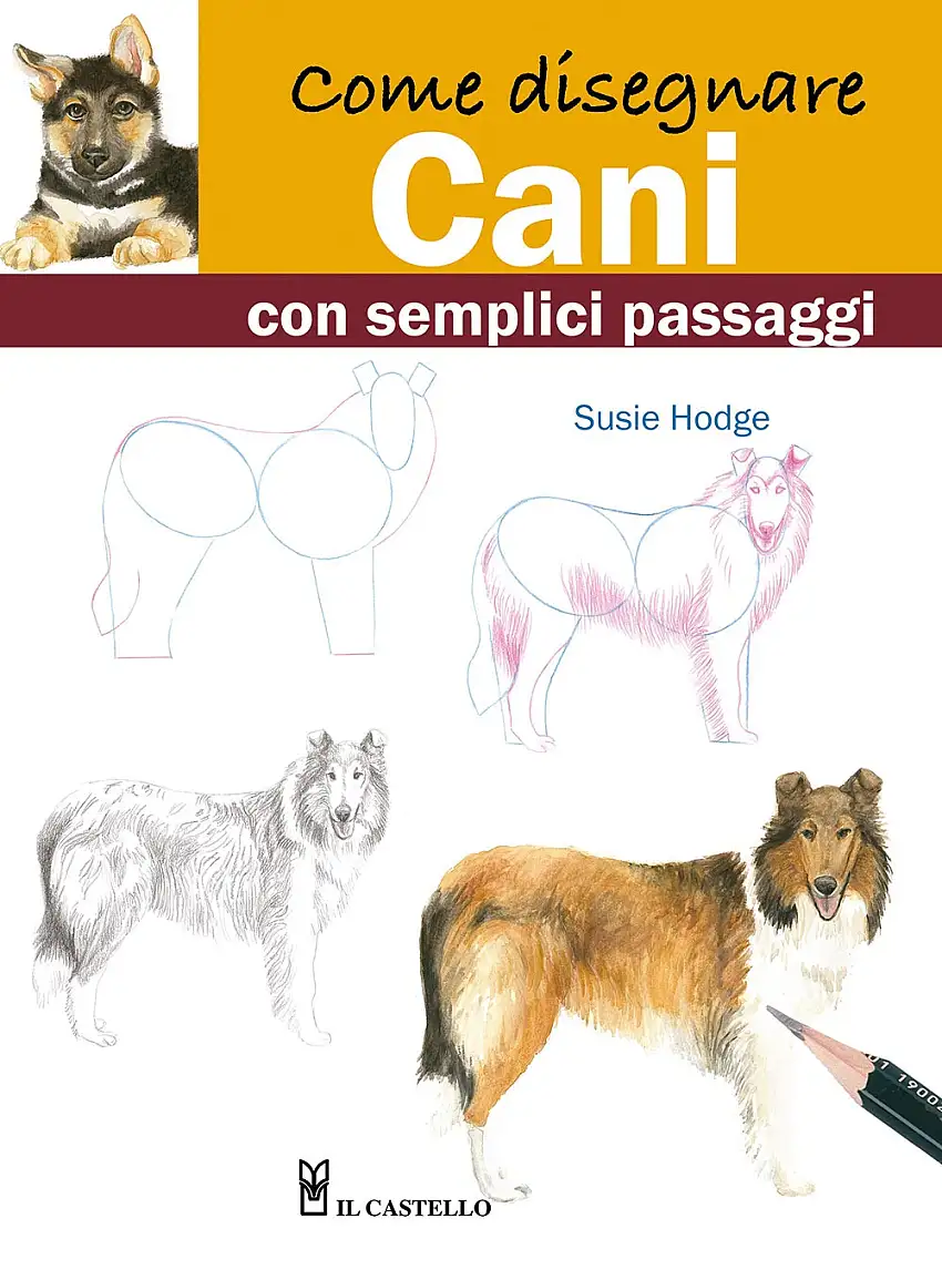 Come disegnare cani con semplici passaggi