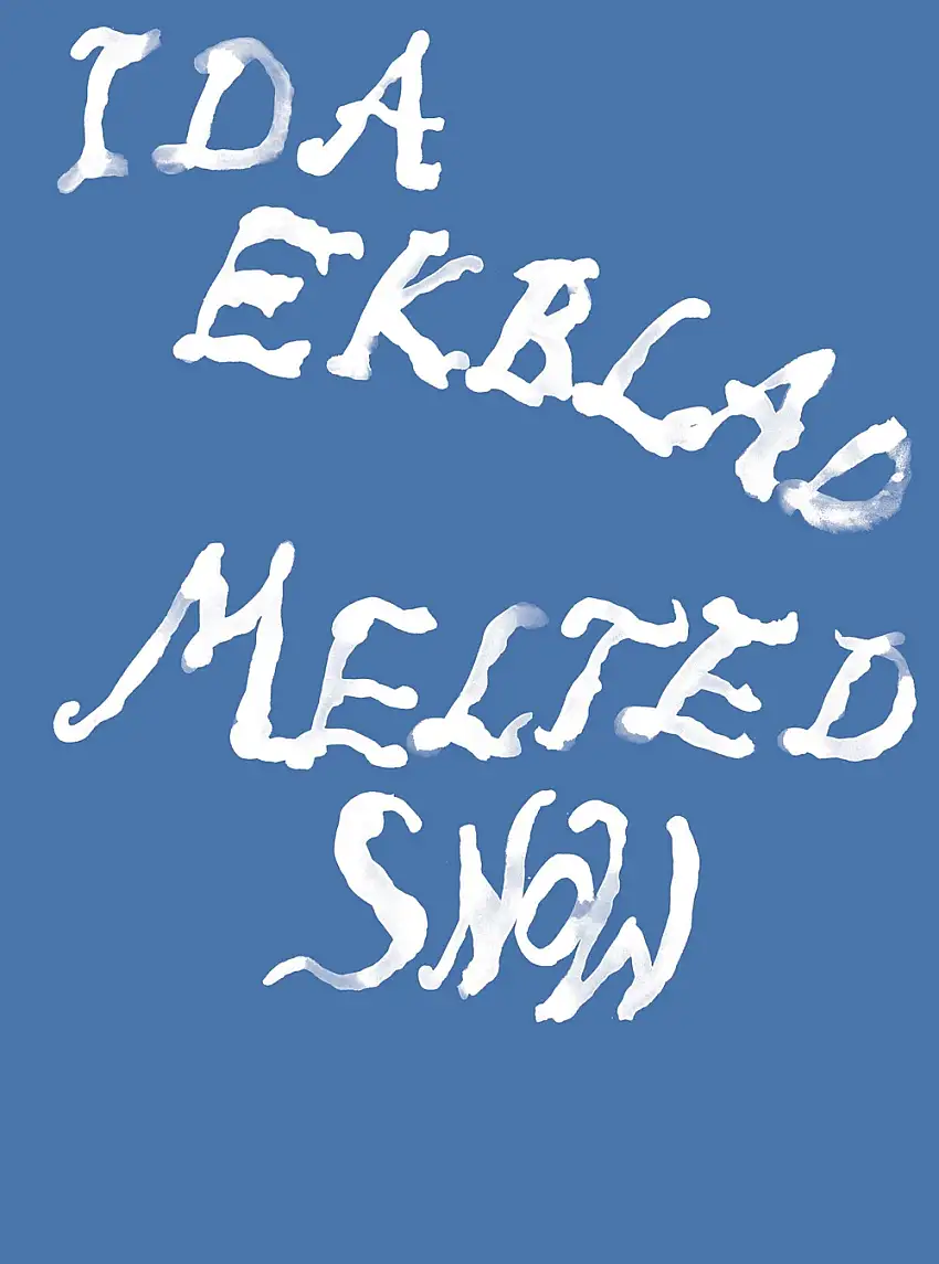 Ida Ekblad. Melted Snow