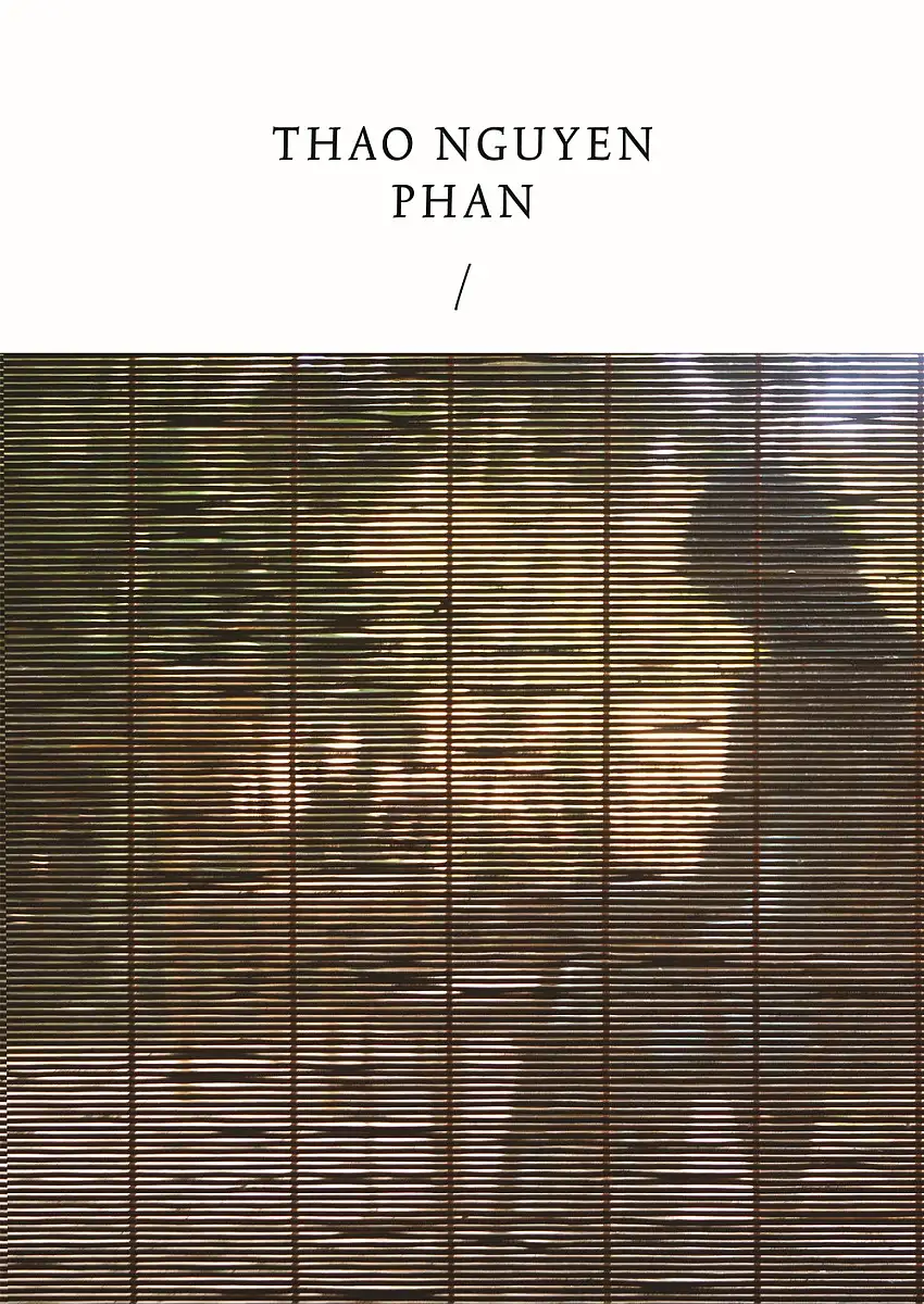 Thao Nguyen Phan. Reincarnations of Shadows