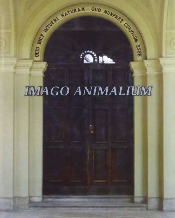 Imago animalium